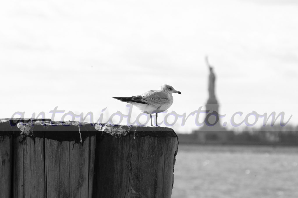 Foto di New York Antonio Lo Torto fotografo